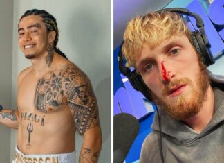Logan Paul aceita desafio para lutar com Whindersson Nunes