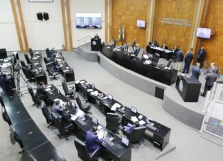 Eleições 22: Deputados querem novo mandato e articulam reeleição; veja lista
