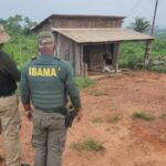 PF prende suspeito de assassinato de parceiro do Ibama na TI Apyterewa pf-prende-suspeito-de-assassinato-de-parceiro-do-ibama-na-ti-apyterewa