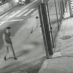 Cachorro é morto com dez tiros em frente a ponto de ônibus em SP cachorro-e-morto-com-dez-tiros-em-frente-a-ponto-de-onibus-em-sp